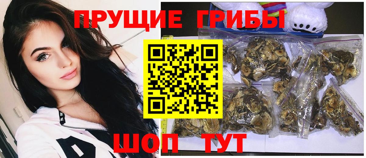 Псилоцибиновые грибы MAGIC MUSHROOMS Новоалтайск