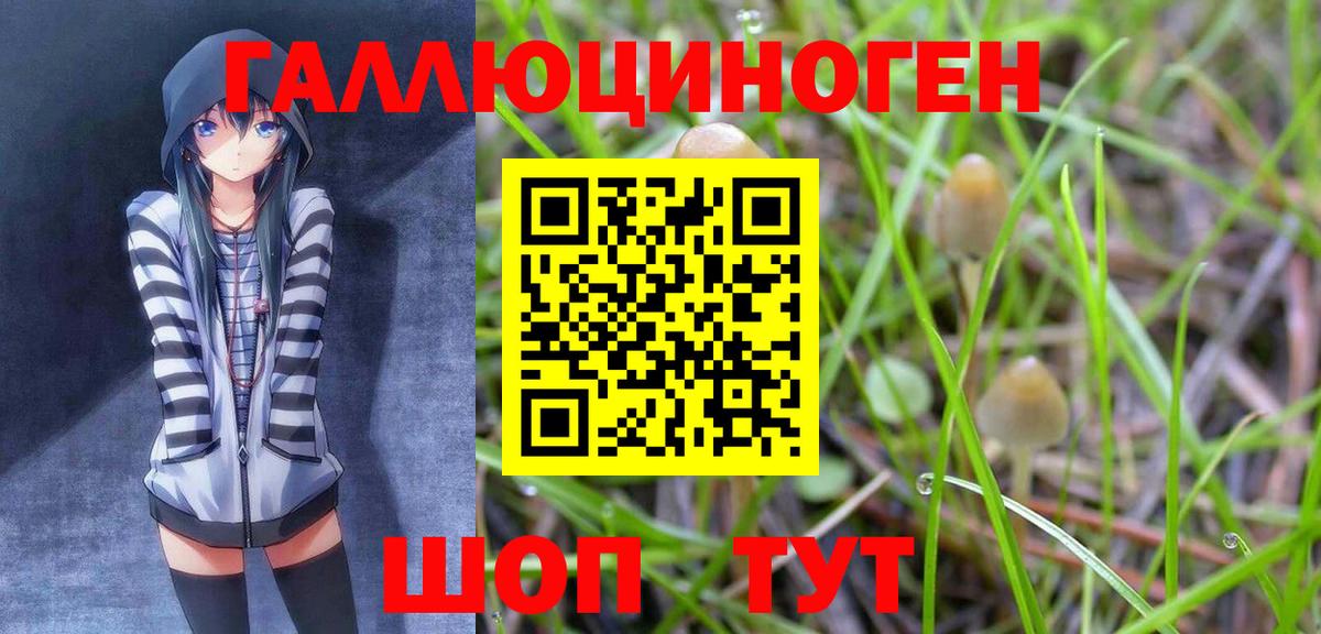 Галлюциногенные грибы ЛСД  Вход с VPN  Галлюциногенные грибы GOLDEN TEACHER  Новоалтайск 